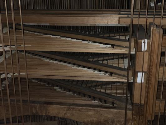 Organ interior