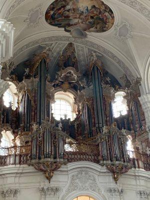 Gabler organ