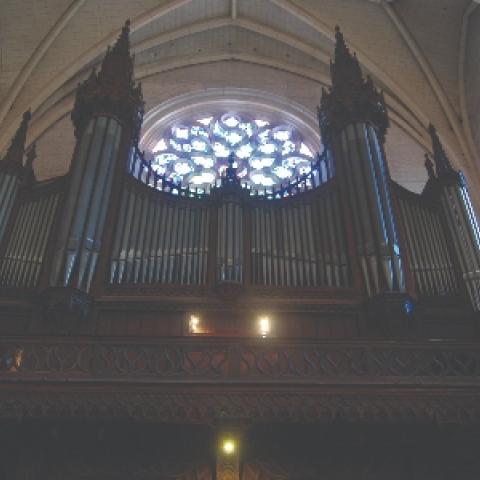 Puget gallery organ, Notre-Dame de la Dalbade, Toulouse