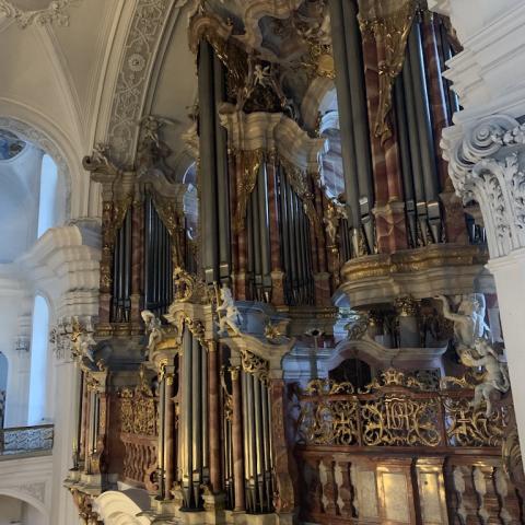 Gabler organ