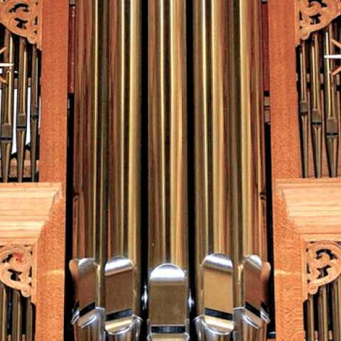 Freytag-Tricoteaux organ, Saint-Vaast's Church