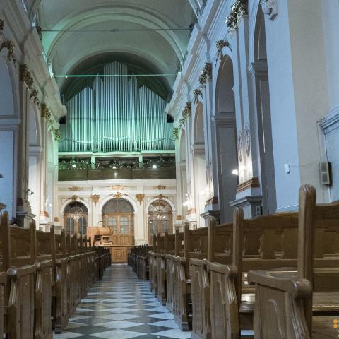 Organ in Lviv