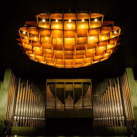 Walcker/In Plenum PL/Pécsi organ 