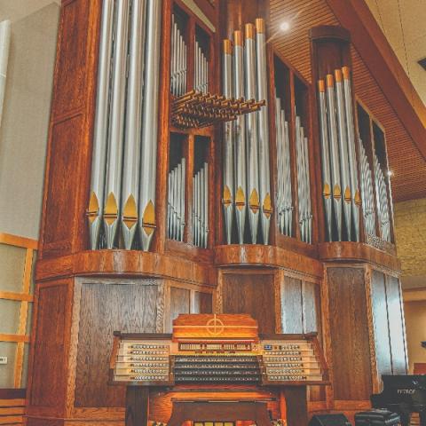 Peragallo organ (photo credit: Michael Harker)